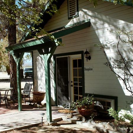 فندق تونتي ناين بالمزفي  Campbell House المظهر الخارجي الصورة