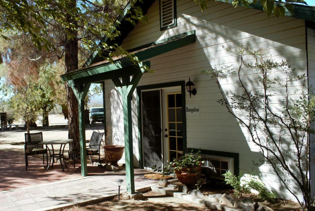 فندق تونتي ناين بالمزفي  Campbell House المظهر الخارجي الصورة